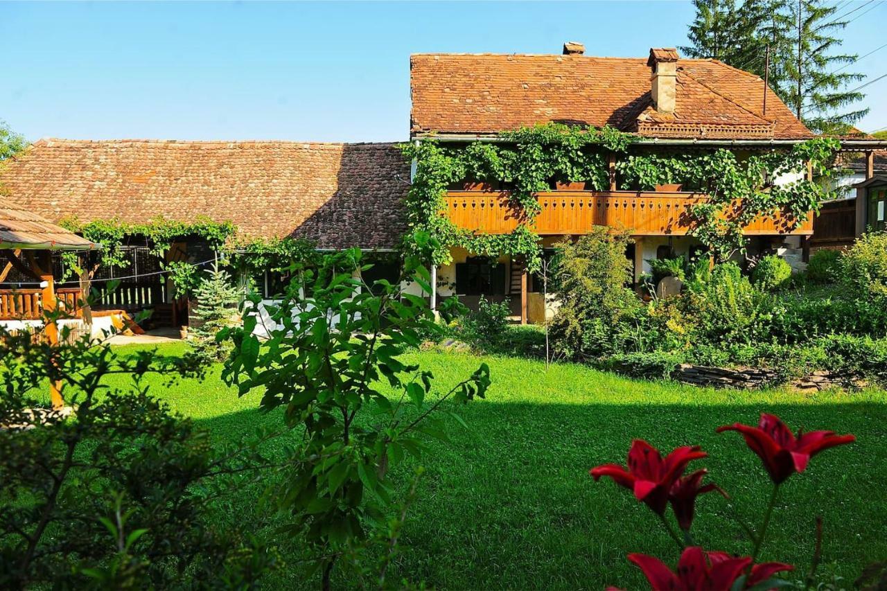 Transylvanian Country House Vetca Екстериор снимка